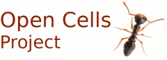 OpenCells